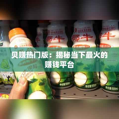 贝赚热门版:揭秘当下最火的赚钱平台