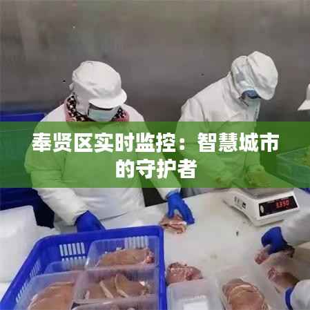 奉贤区实时监控:智慧城市的守护者
