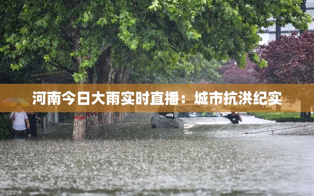 河南今日大雨实时直播:城市抗洪纪实