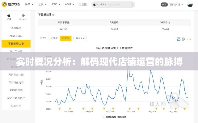 实时概况分析:解码现代店铺运营的脉搏