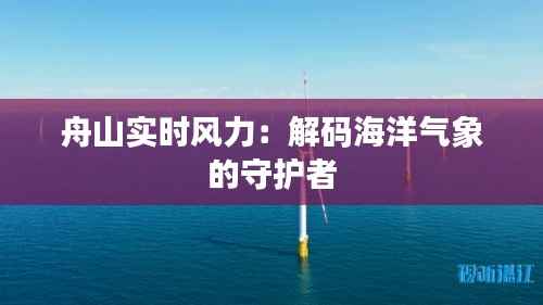 舟山实时风力:解码海洋气象的守护者