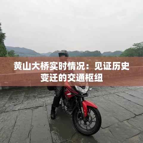 随方就圆 第5页