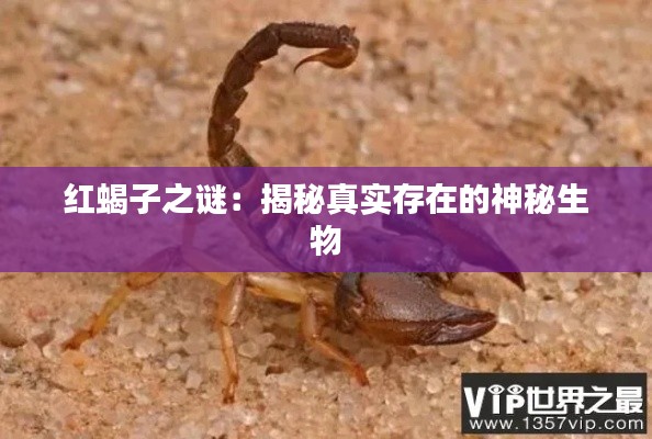 红蝎子之谜:揭秘真实存在的神秘生物