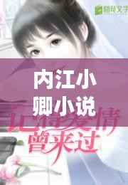 内江小卿小说:实时追踪一部现代都市情感连载的魅力