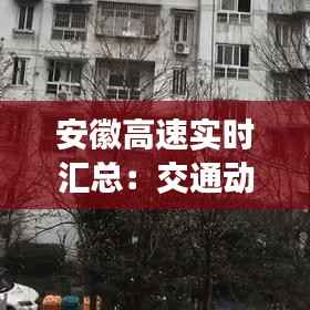 安徽高速实时汇总:交通动态一手掌握