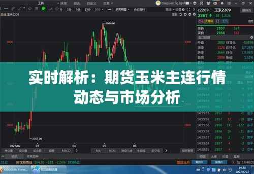 实时解析:期货玉米主连行情动态与市场分析