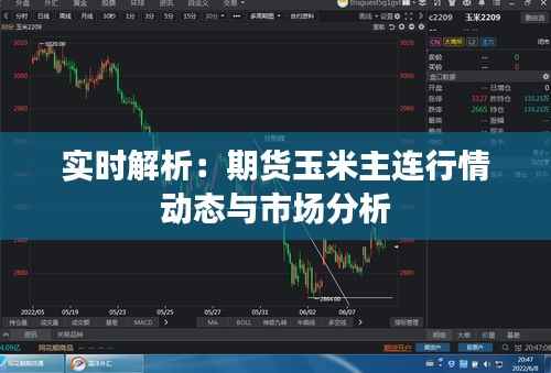 实时解析:期货玉米主连行情动态与市场分析
