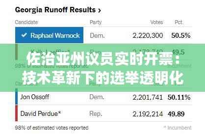 佐治亚州议员实时开票：技术革新下的选举透明化