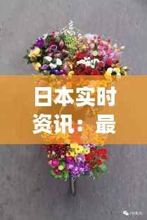 日本实时资讯:最新动态与深度解读