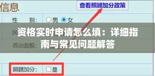资格实时申请怎么填:详细指南与常见问题解答