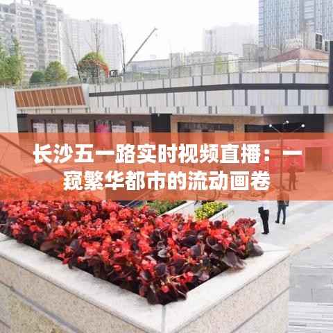 长沙五一路实时视频直播：一窥繁华都市的流动画卷
