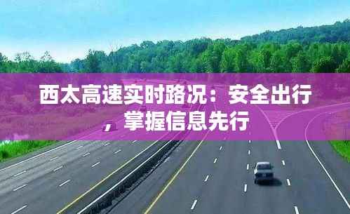 展翅欲飞 第6页