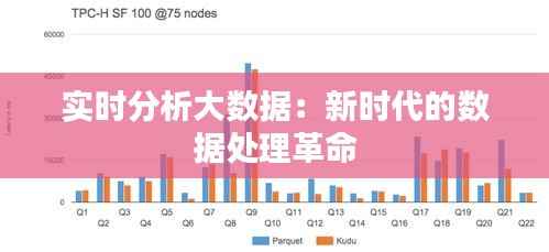 实时分析大数据:新时代的数据处理革命
