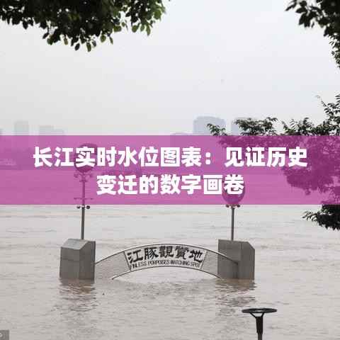 长江实时水位图表:见证历史变迁的数字画卷