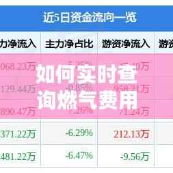 如何实时查询燃气费用余额