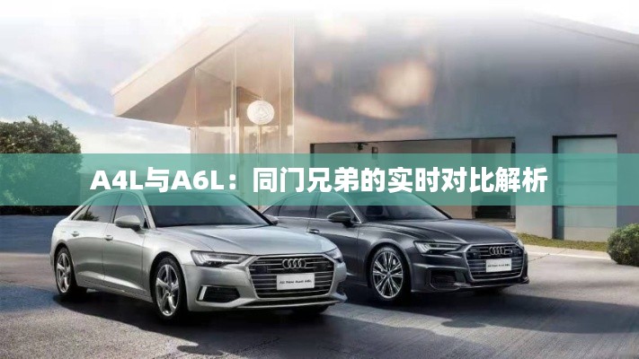 A4L与A6L：同门兄弟的实时对比解析