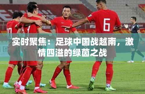 实时聚焦:足球中国战越南,激情四溢的绿茵之战