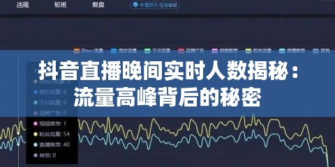 抖音直播晚间实时人数揭秘：流量高峰背后的秘密