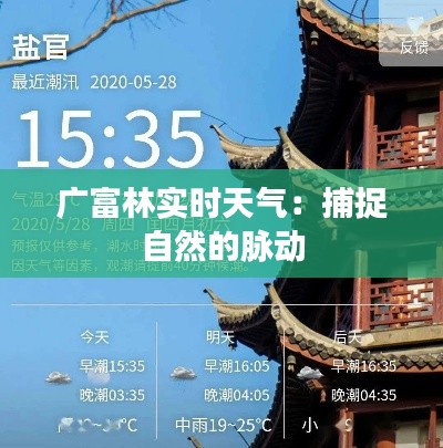 广富林实时天气:捕捉自然的脉动