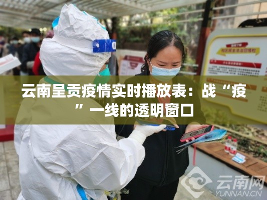 云南呈贡疫情实时播放表:战“疫”一线的透明窗口