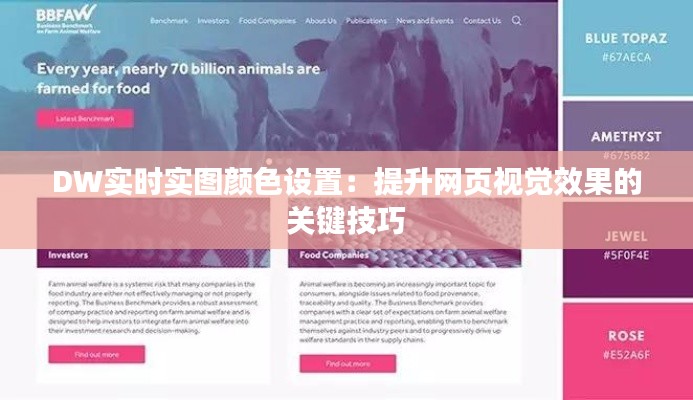 DW实时实图颜色设置:提升网页视觉效果的关键技巧