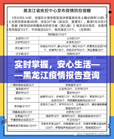 实时掌握，安心生活——黑龙江疫情报告查询指南