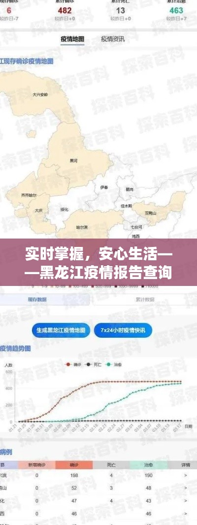 实时掌握,安心生活——黑龙江疫情报告查询指南