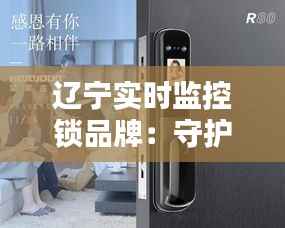 辽宁实时监控锁品牌:守护安全,引领智慧生活新潮流