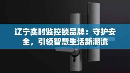 辽宁实时监控锁品牌:守护安全,引领智慧生活新潮流