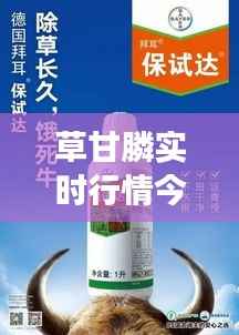 草甘膦实时行情今日解析:市场动态与投资策略