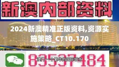 2024新澳精准正版资料,资源实施策略_CT10.170