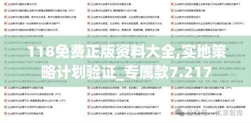118免费正版资料大全,实地策略计划验证_专属款7.217