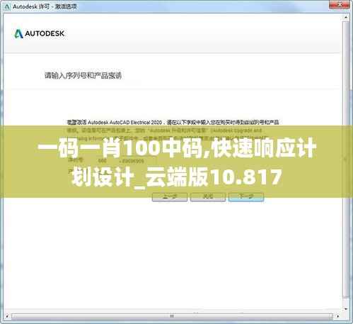 一码一肖100中码,快速响应计划设计_云端版10.817