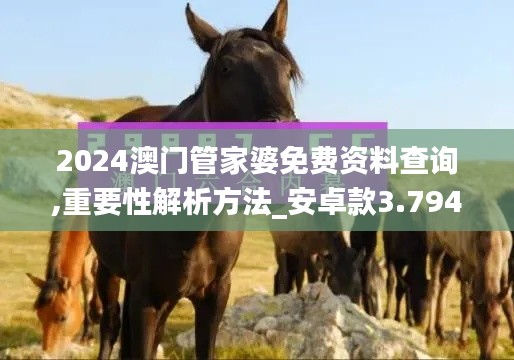 2024澳门管家婆免费资料查询,重要性解析方法_安卓款3.794