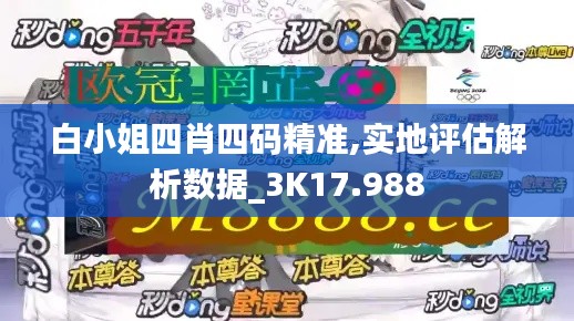 白小姐四肖四码精准,实地评估解析数据_3K17.988