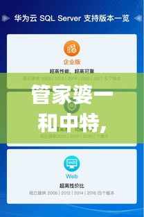 管家婆一和中特,综合数据解释定义_特供款2.671