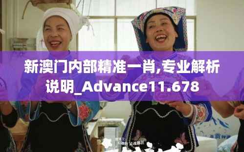 新澳门内部精准一肖,专业解析说明_Advance11.678