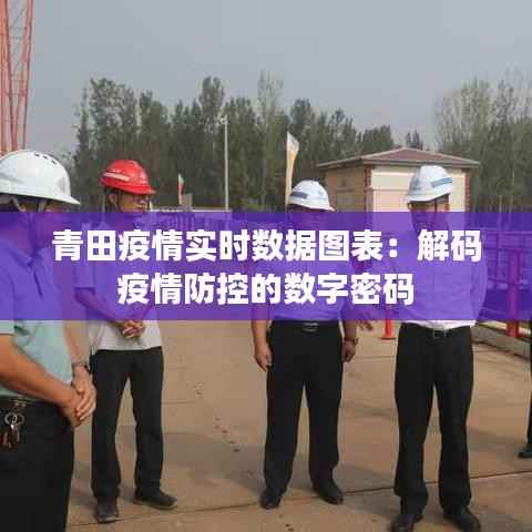 青田疫情实时数据图表：解码疫情防控的数字密码