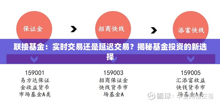 联接基金:实时交易还是延迟交易?揭秘基金投资的新选择