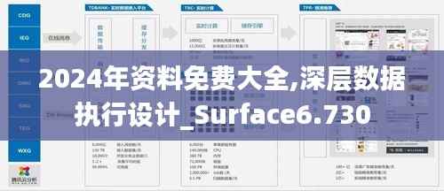 2024年资料免费大全,深层数据执行设计_Surface6.730