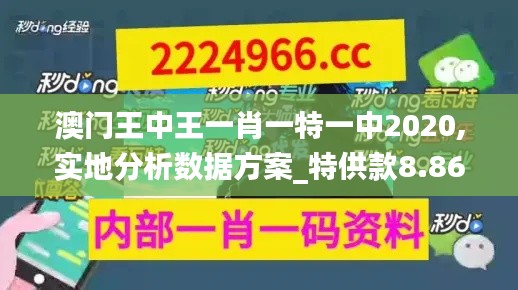 澳门王中王一肖一特一中2020,实地分析数据方案_特供款8.862