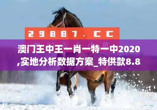 澳门王中王一肖一特一中2020,实地分析数据方案_特供款8.862
