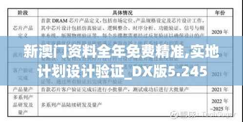 新澳门资料全年免费精准,实地计划设计验证_DX版5.245