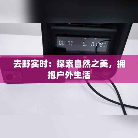 去野实时:探索自然之美,拥抱户外生活