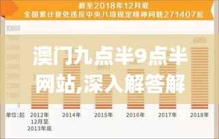 澳门九点半9点半网站,深入解答解释定义_旗舰款9.959