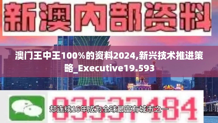 澳门王中王100%的资料2024,新兴技术推进策略_Executive19.593