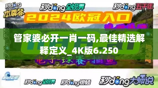 管家婆必开一肖一码,最佳精选解释定义_4K版6.250