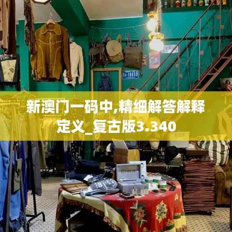 新澳门一码中,精细解答解释定义_复古版3.340
