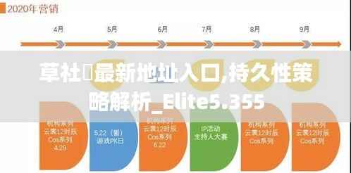 草社區最新地址入口,持久性策略解析_Elite5.355