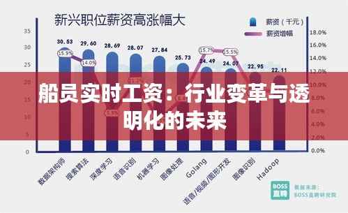 船员实时工资：行业变革与透明化的未来